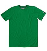 Kempa Team T-Shirt (grün)
